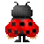 MarciaMara