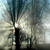 MistyMorning91