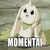 Momentaai