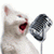 Mooncat