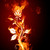 Mpower9