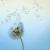 Northwynd