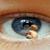 PepeElPutas