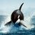 Prosperity88