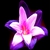 Purplecolor