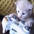Ramiz1