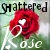 Shattered_Rose