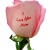 StarAngel_59