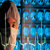 Stokrotka