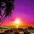 Susu5000