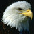 TrikeRider