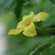 Well_wisher
