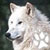 WhitePaw