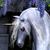 Widdybear77