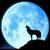 WolfHRK