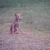 Zava