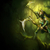 akali