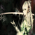 alicerubedo