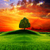 anna_kr_stz
