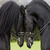 arabianhorses1001