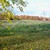 aremark