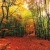 autumninkashmir22