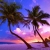 beachbum4ever2