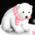 bearlover