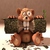 beaver001