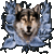 blugrazdad5