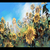 california-girl21
