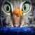 cateyes_777