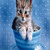 catgirl76