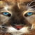 catvibz