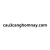 cau3canghomnay