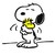 cedar64
