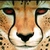 claireg123