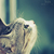 cornelia_star