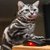 crazycat70