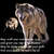 crieswolf
