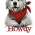 dogwood2