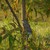 dreamcatcher39
