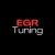 egrtuning.com