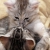 emerald717