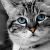 evelyn_henderson_75