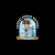 experthousemover