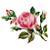 fariz