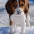 frank58ct