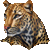 frankief