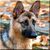 germanshepherd5